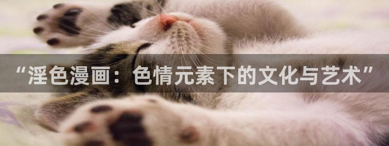 51漫画官方在线阅读页面漫画入口页面弹窗